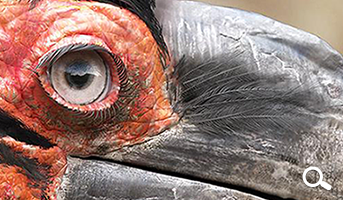 Léandre Hounnaké Léandre Hounnaké