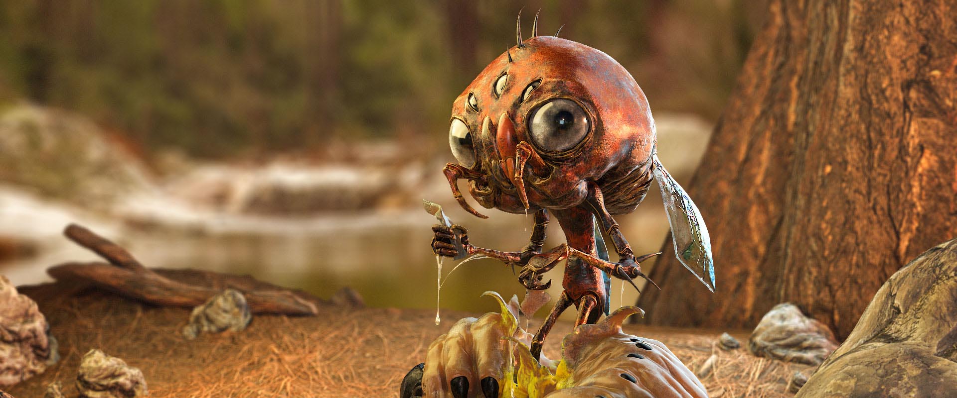 © Julien Accettola © Julien Accettola