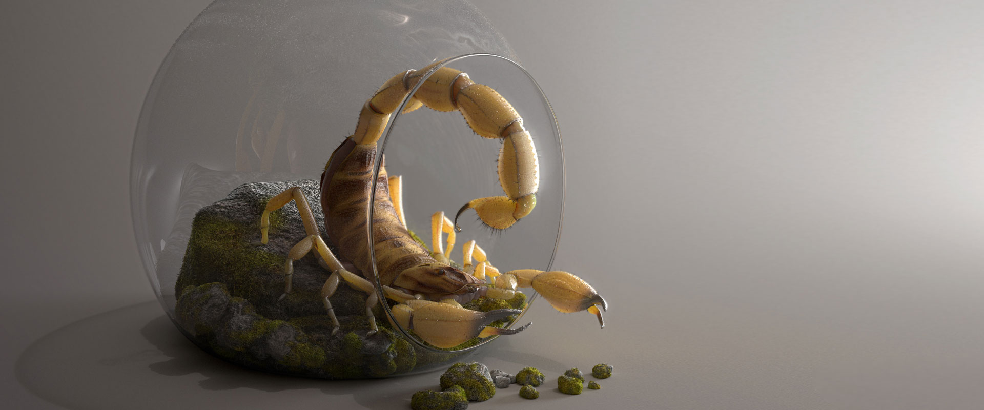 © Frederico Laruccia © Frederico Laruccia