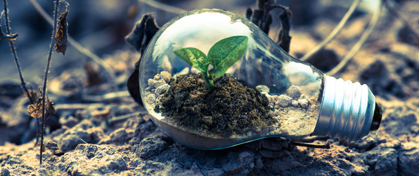 Électricité verte à la ferme de rendu Rebus Service de rendu équitable