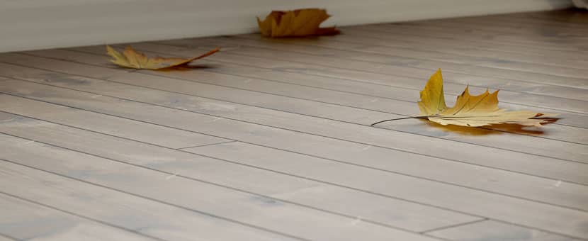 RebusFarm Making-of with Alberto Maciel Details of the floor with leaves