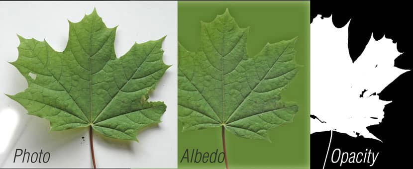 RebusFarm Making-of with Alberto Maciel Details of a leave