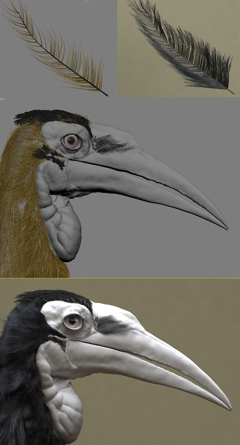 Feathers / 3ds Max Hair&Fur Feathers / 3ds Max Hair&Fur