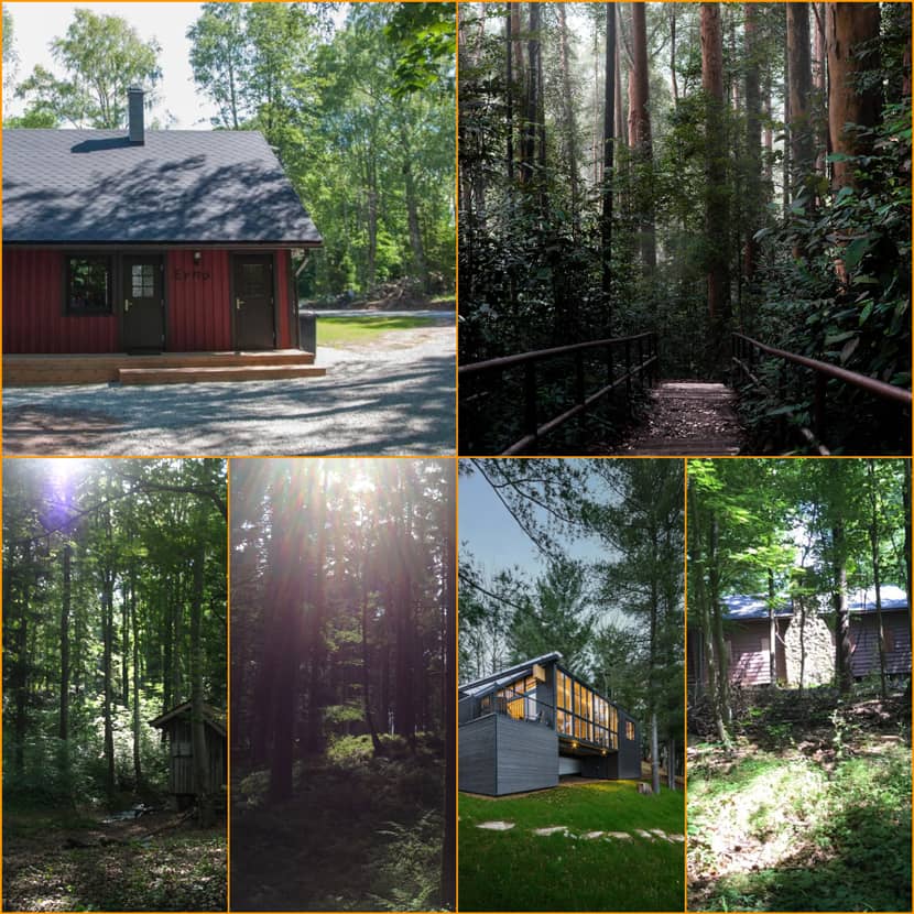 The Making of ''Hideaway In The Woods'' by Aayush Verma The Making of ''Hideaway In The Woods'' by Aayush Verma