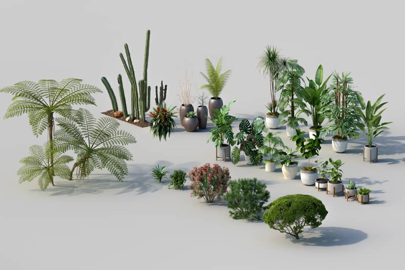 The Making of ''Mexican Hacienda Restoration'' by Ever Sanchez