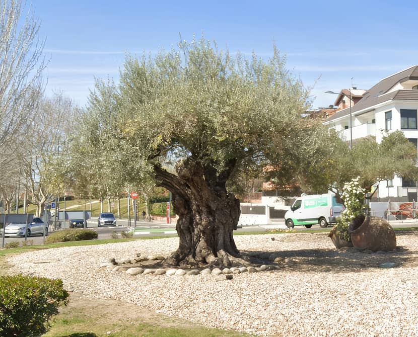 The Making of ''The Calm Before the Storm'' by Jaime Diaz Alvarez The Making of ''The Calm Before the Storm'' by Jaime Diaz Alvarez