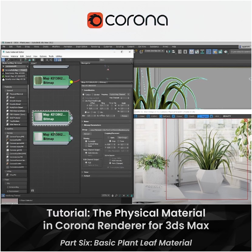 Corona Renderer - Basic plant leaf - Physical material tutorial Corona Renderer - Basic plant leaf - Physical material tutorial