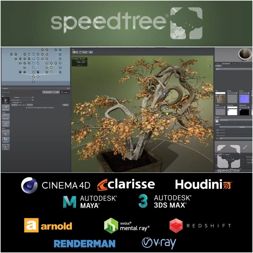 Speedtree - Latest Version 9 - Release Teaser Speedtree - Latest Version 9 - Release Teaser