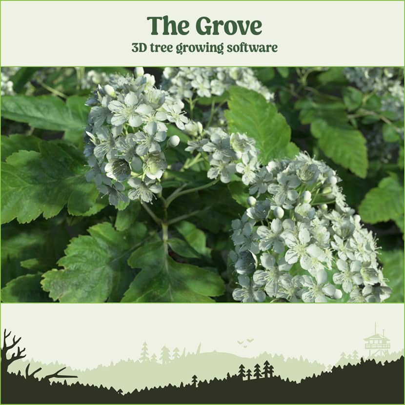The Grove 3D - Grove 2.1 Released The Grove 3D - Grove 2.1 Released